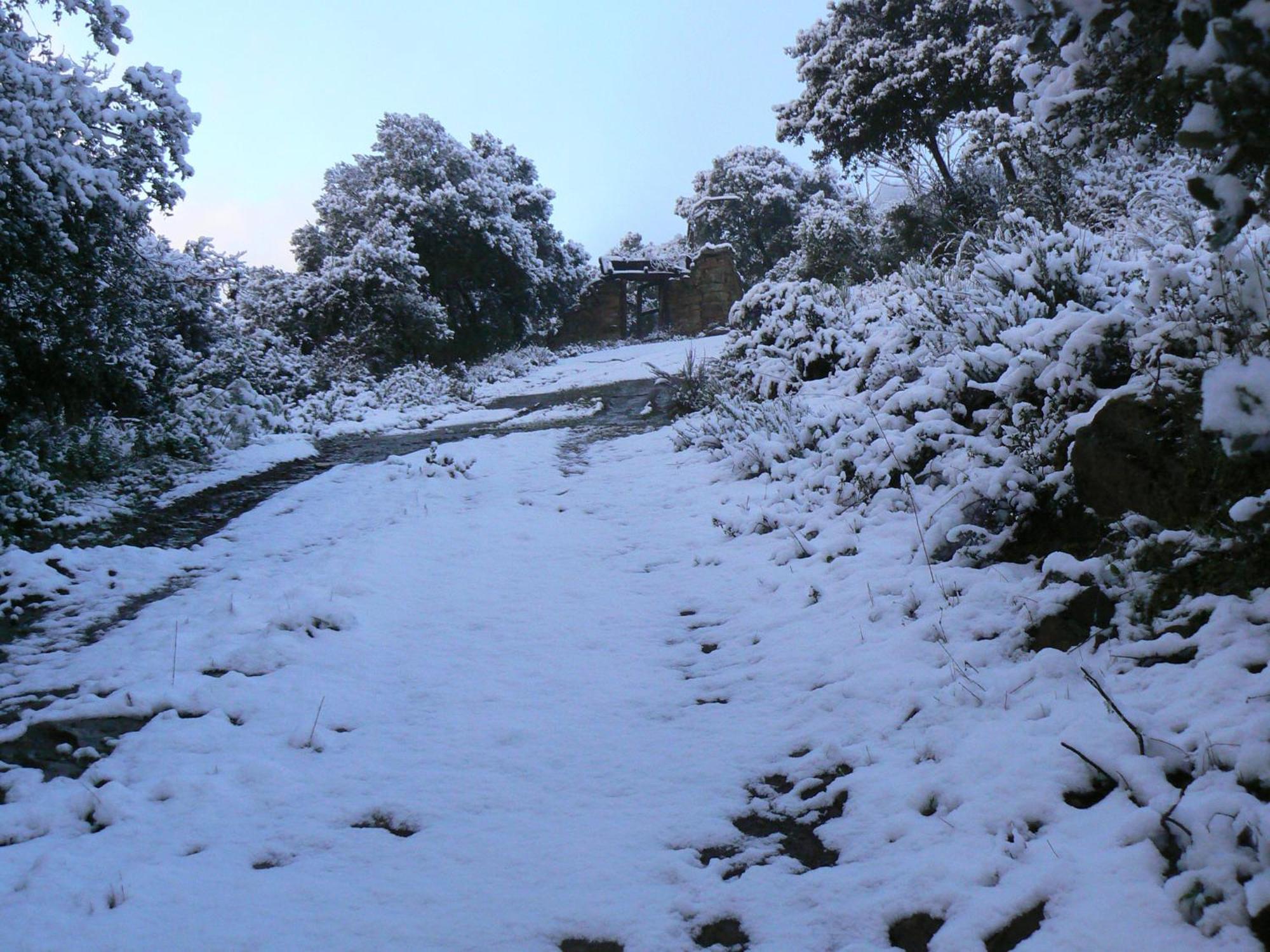 Casa De Turismo Rural Sardom3 Bembibre  ภายนอก รูปภาพ
