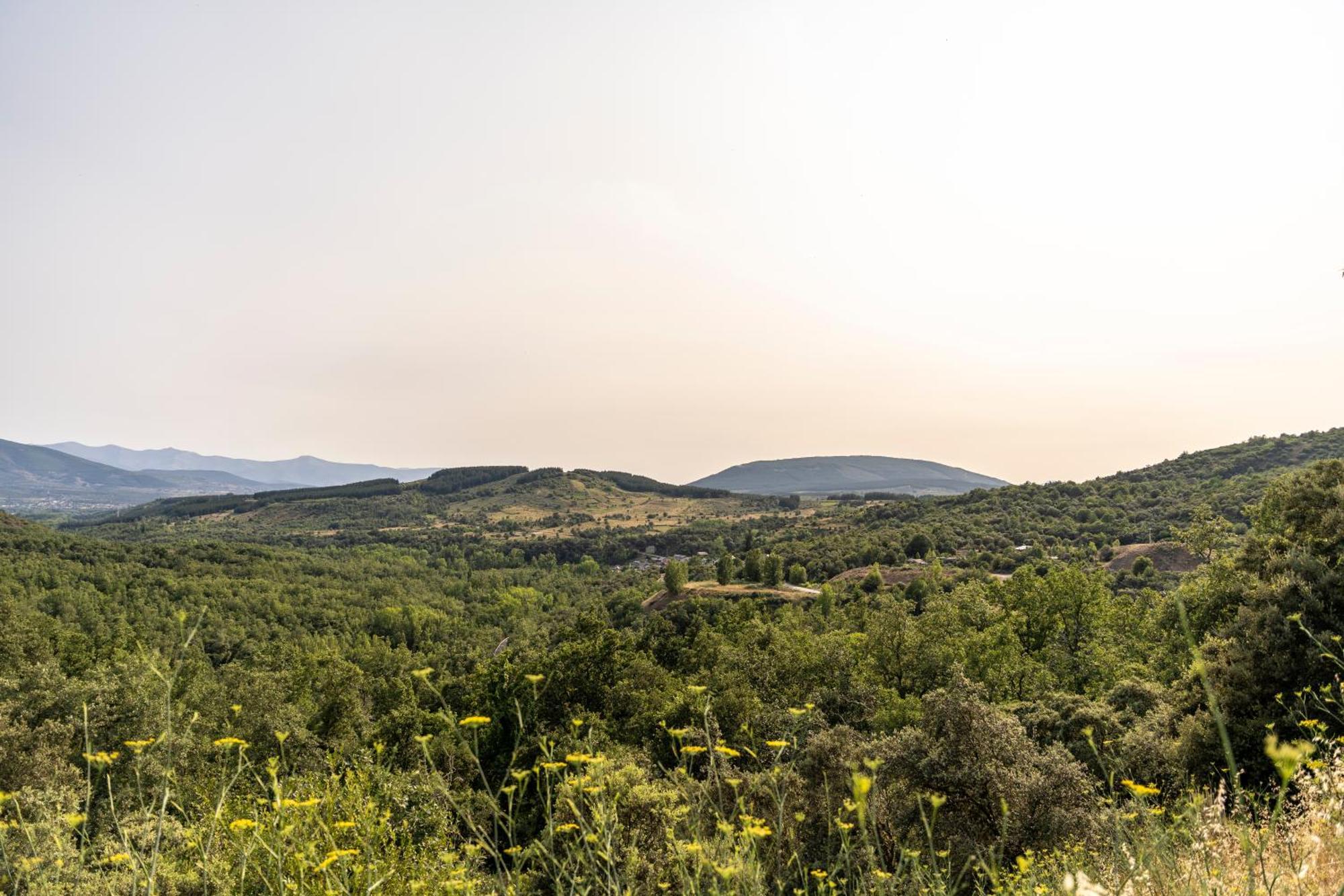 Casa De Turismo Rural Sardom3 Bembibre  ภายนอก รูปภาพ