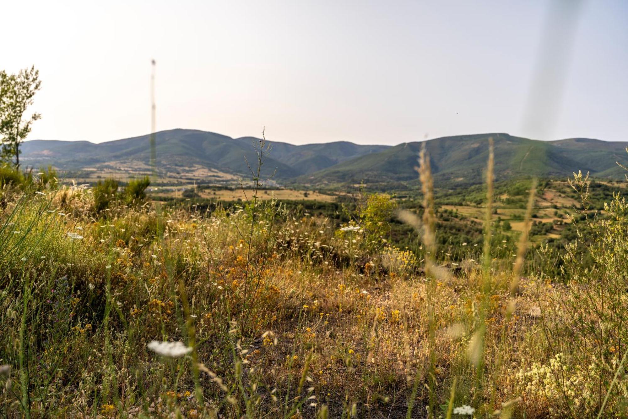 Casa De Turismo Rural Sardom3 Bembibre  ภายนอก รูปภาพ